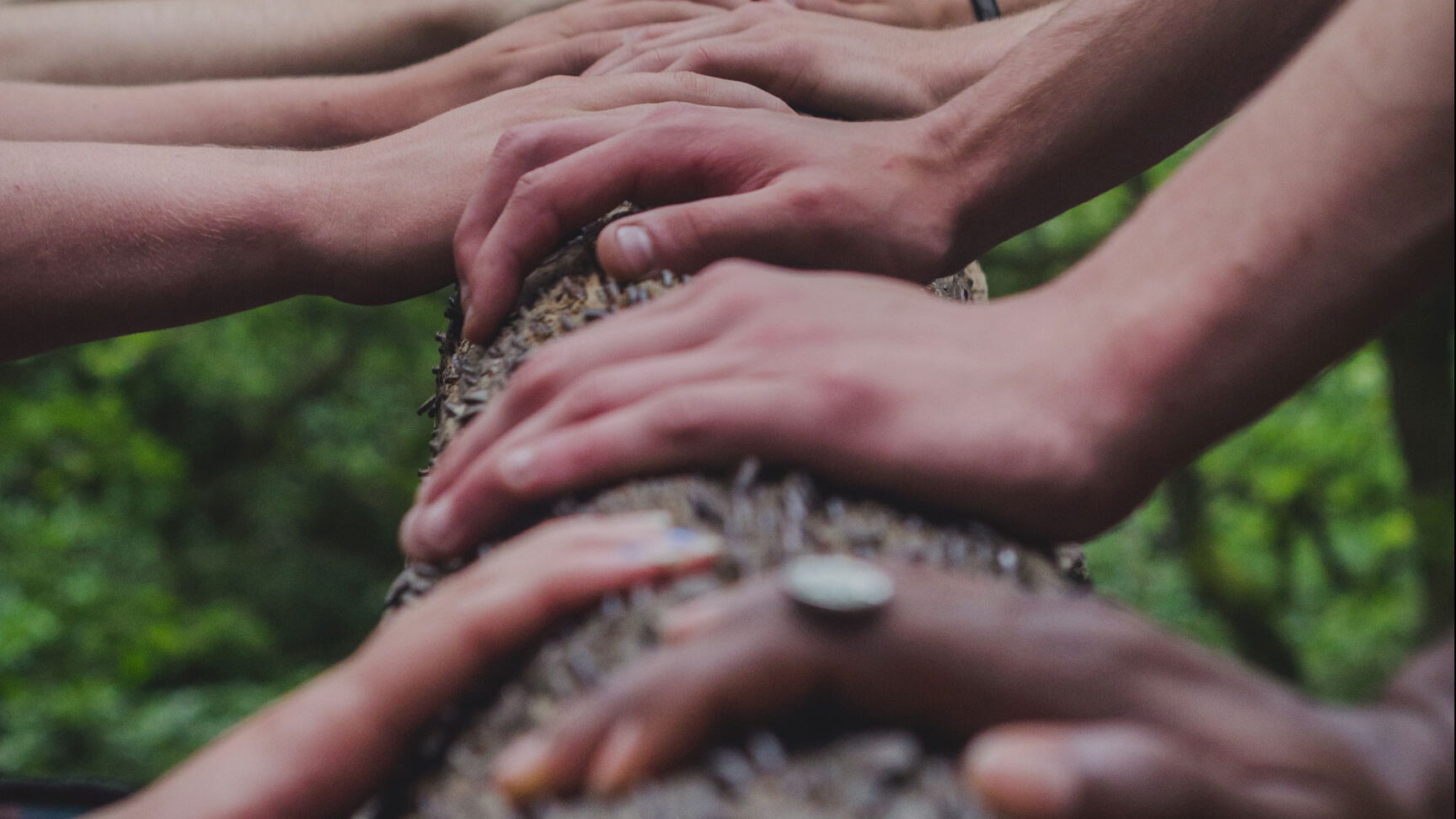 Photo of people touching a tree.