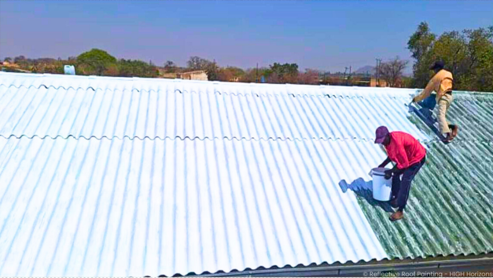 Reflective Roof Painting