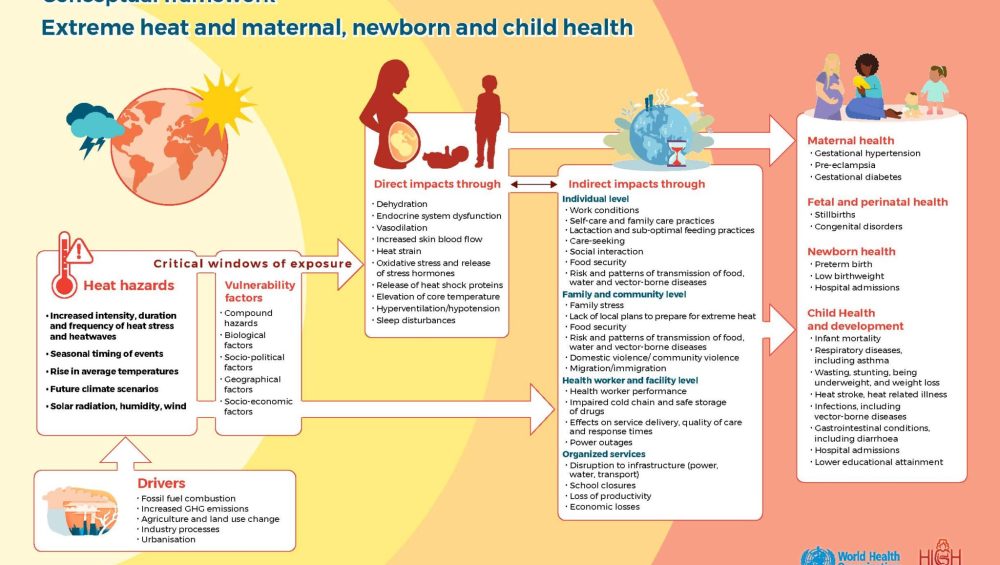 Conceptual Framework
